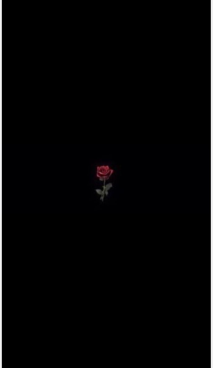 Rosa rossa su nero, 687x1187 Verticale, Telefono