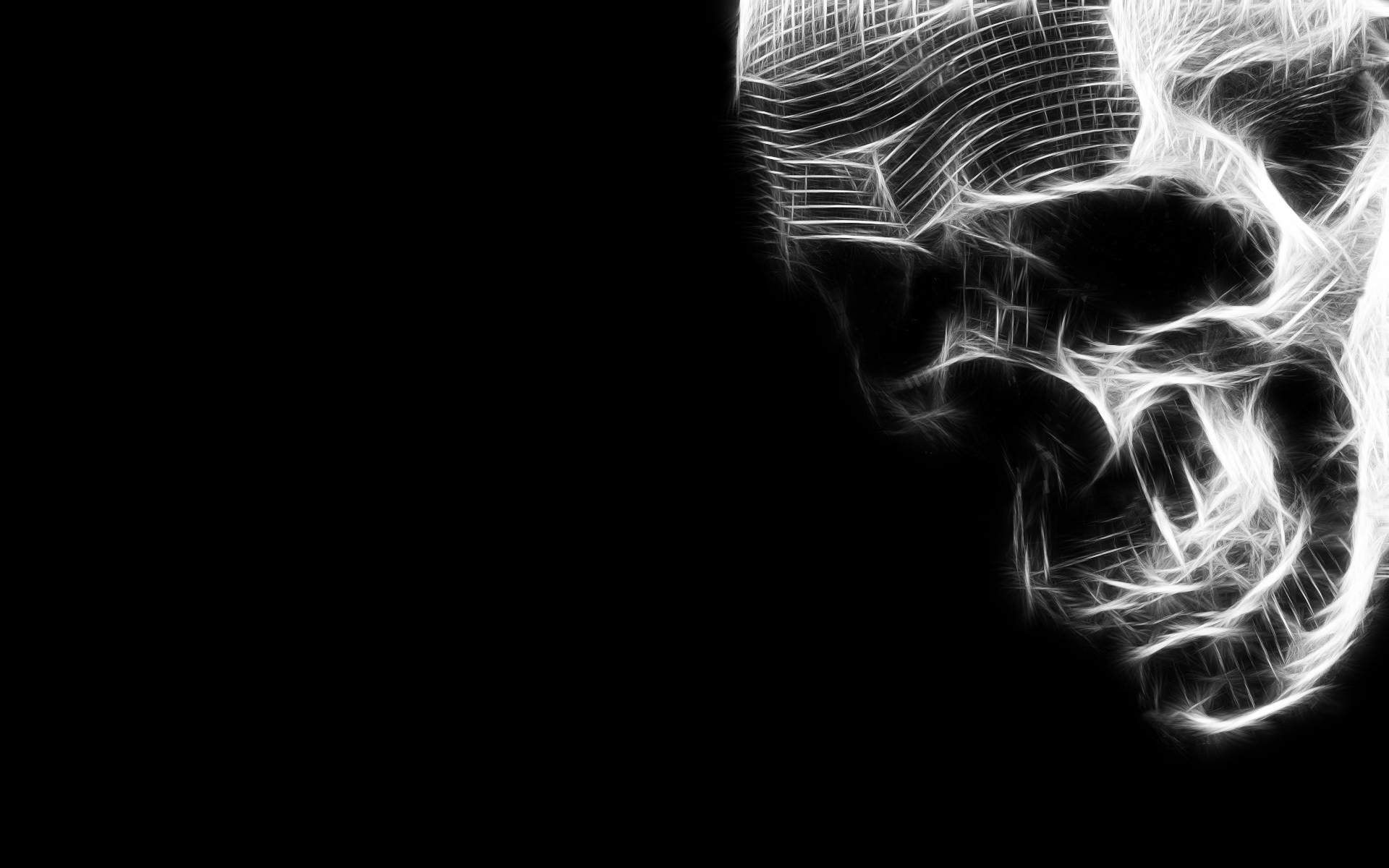 Teschio wireframe bianco nero, sfondi Neri, 1920x1200 WUXGA, Desktop