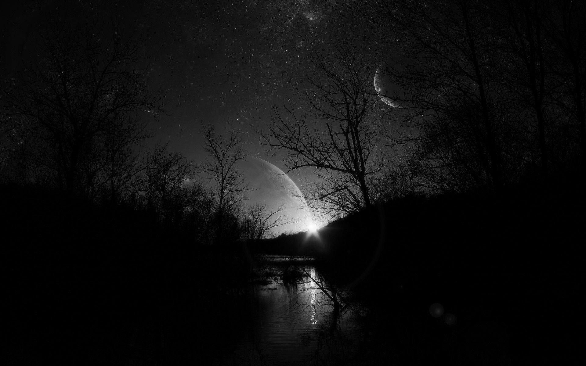 Notte scura con luna e alberi, sfondi Neri, 1920x1200 Full HD+ WUXGA, Desktop