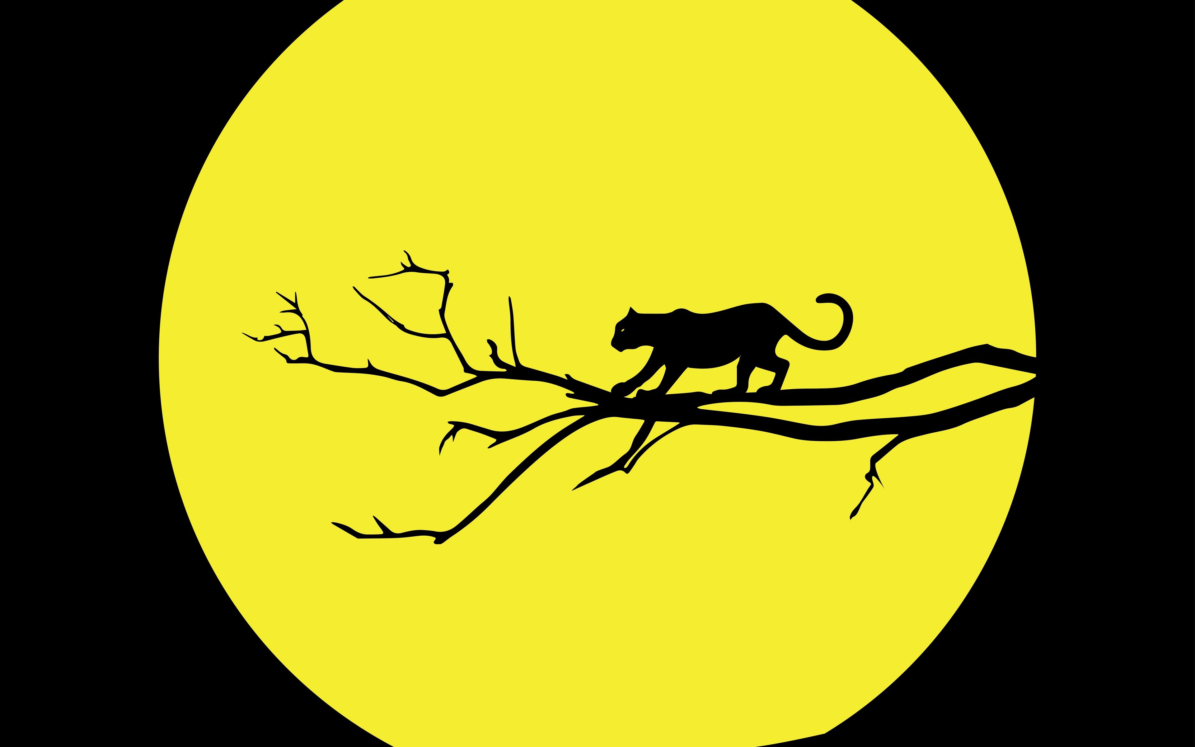 Giaguaro silhouette su ramo, 3840x2400 4K Ultra HD, Monitor 4K