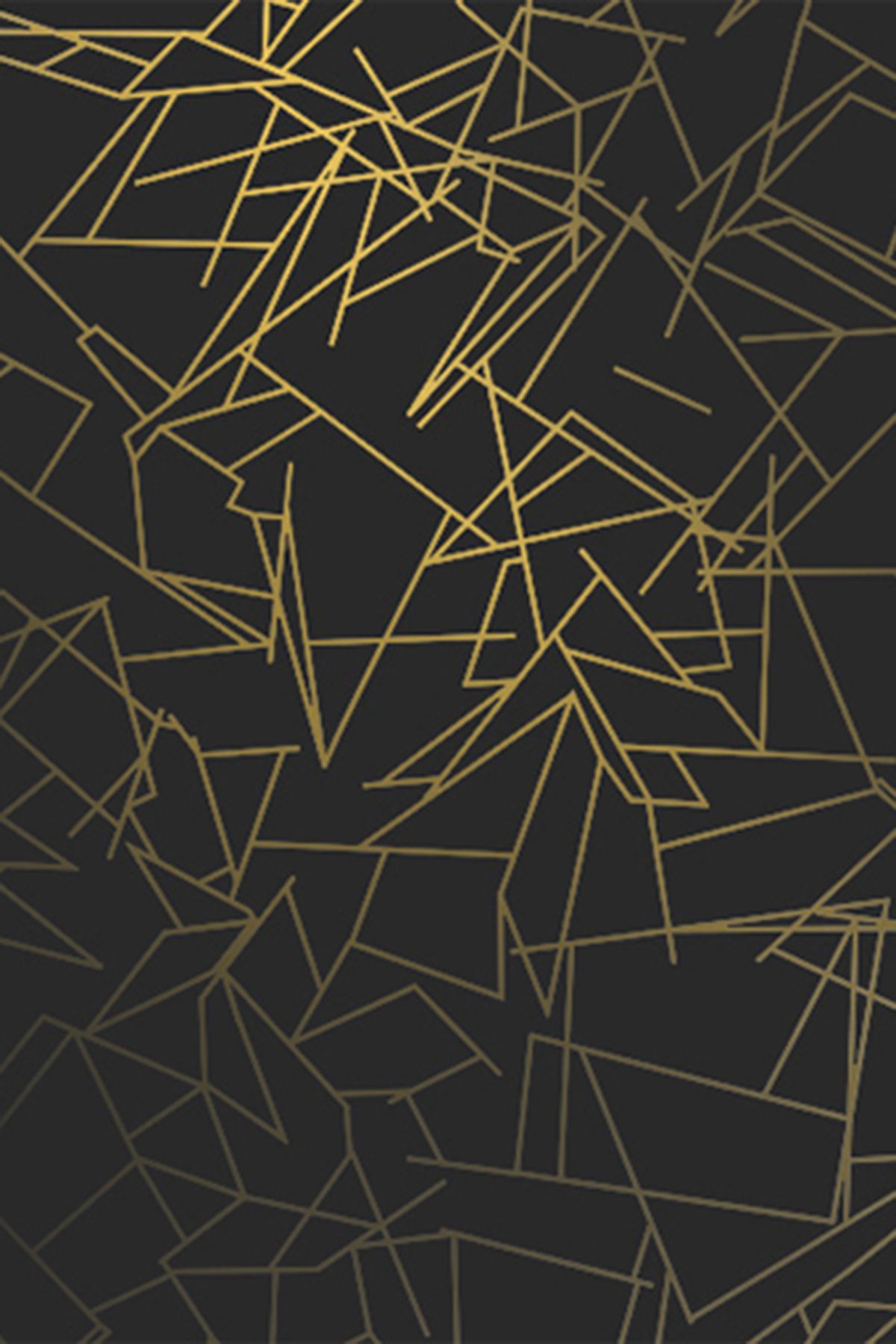 Linee geometriche oro nero, 1200x1800 Verticale, Mobile