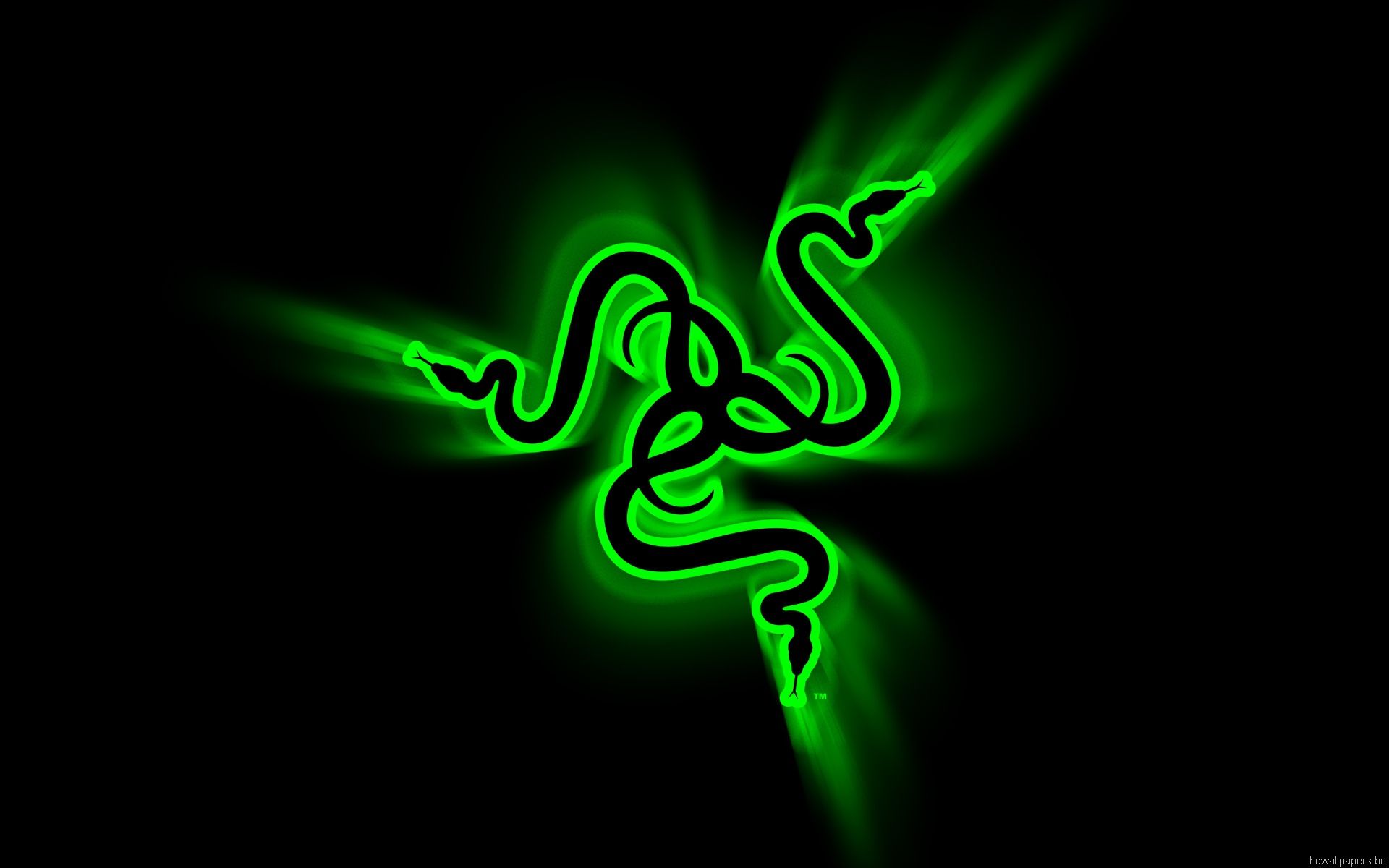 Logo Razer verde neon, periferiche gaming, 1920x1200 Full HD+, Desktop