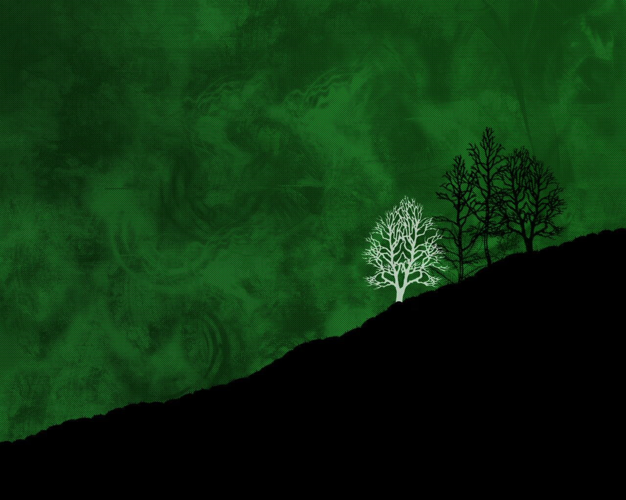 Alberi silhouette su collina verde, 1280x1024 720p, PC