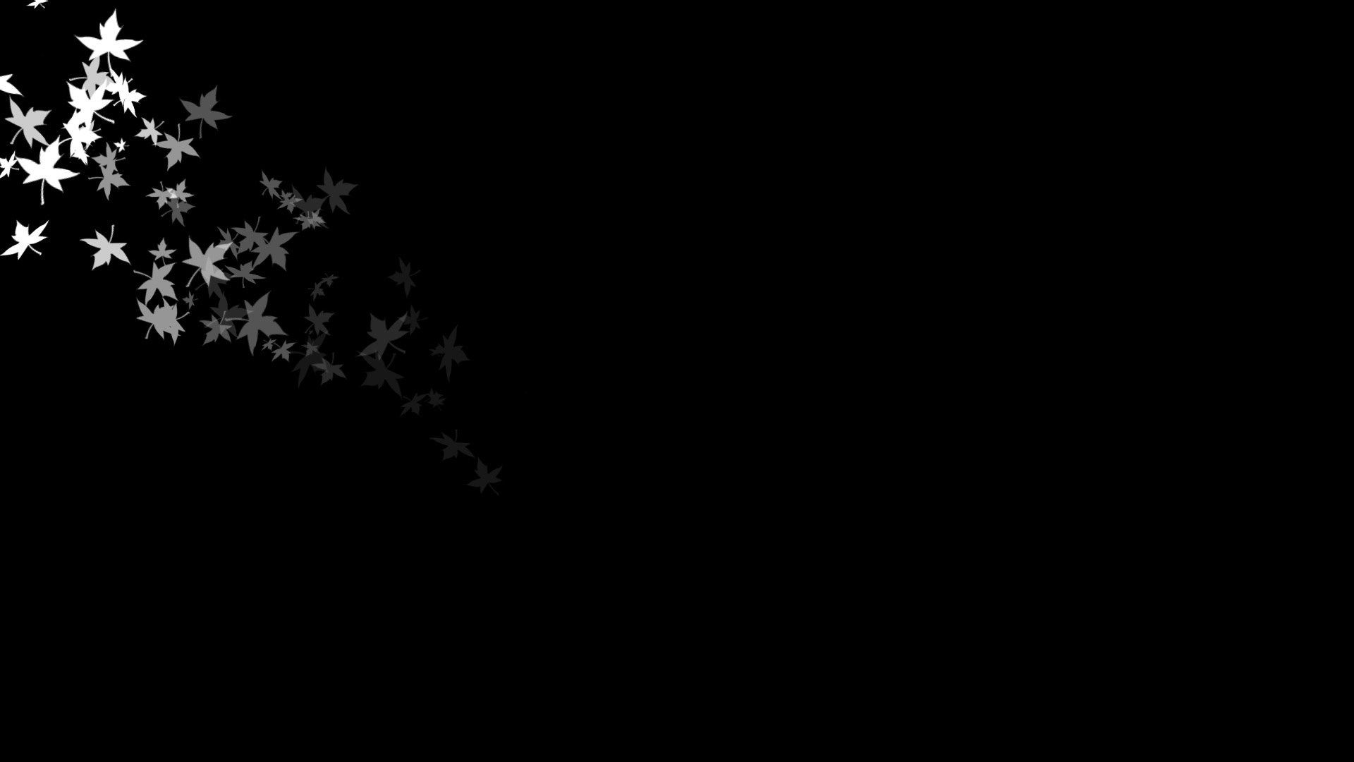 Farfalle bianche sfondo nero, 1920x1080 Full HD 1080p, PC