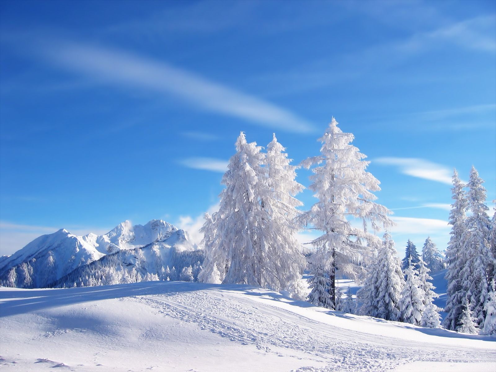Alberi innevati e montagne, 1600x1200 HD, Laptop