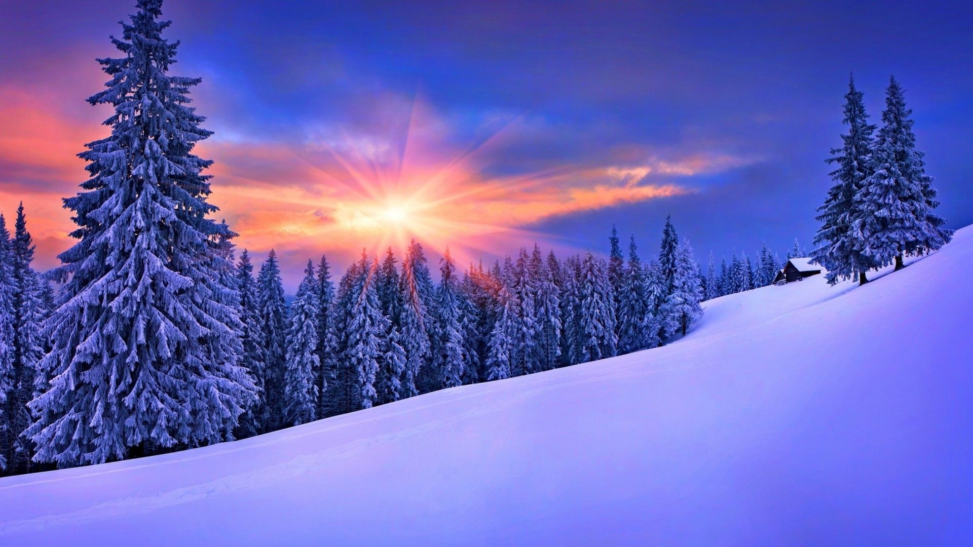 Tramonto invernale con abeti innevati, 1920x1080 1080p, PC