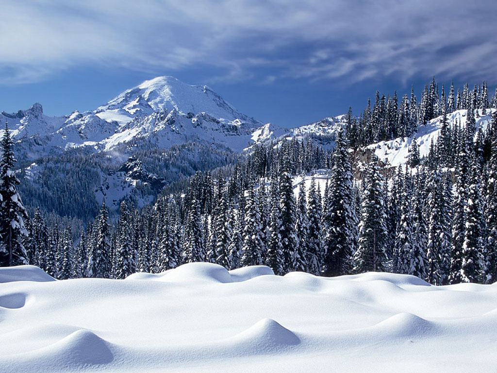 Montagna innevata con abeti, 1024x768 HD, Desktop