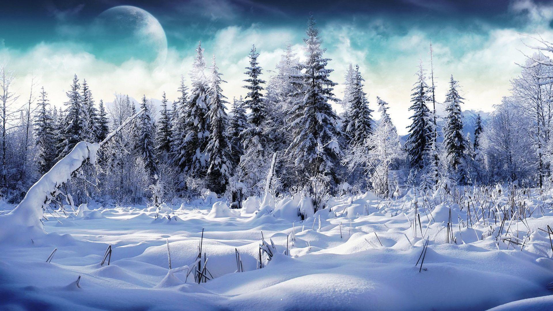 Foresta innevata con luna, 1920x1080 Full HD, Desktop