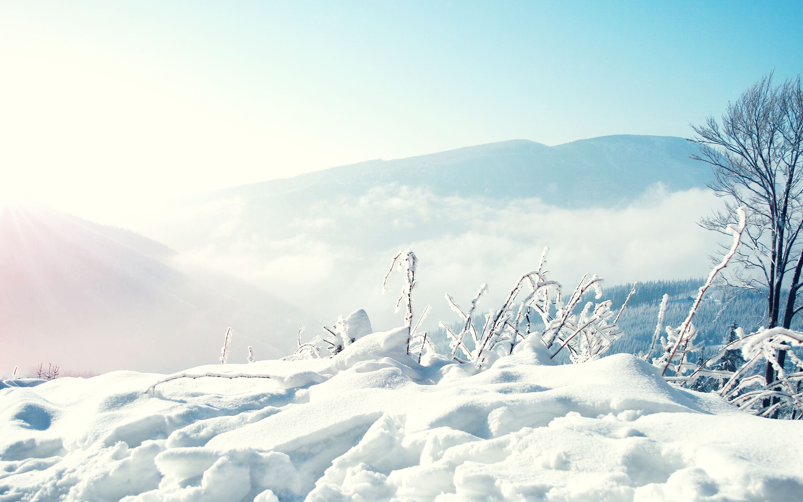 Neve e montagne innevate, 2560x1600 2K+, Laptop