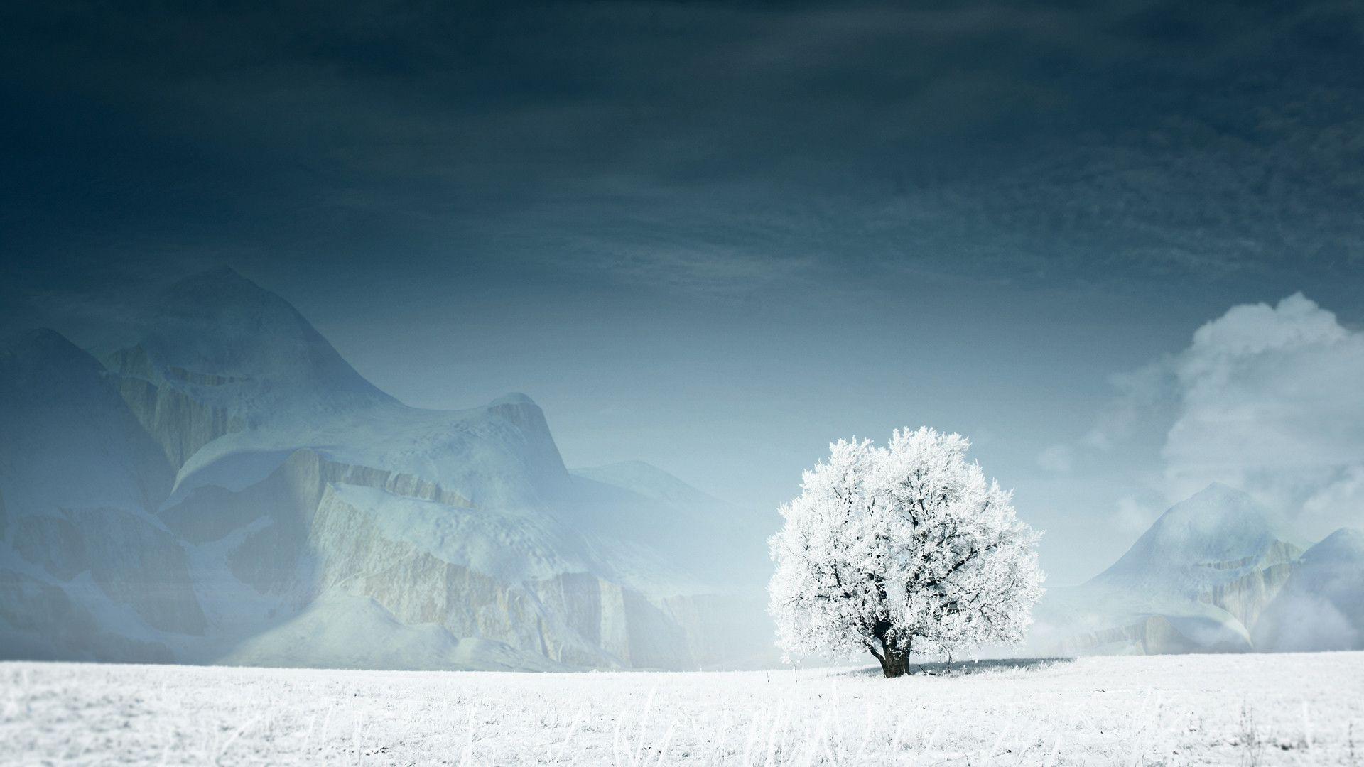 Albero innevato in paesaggio invernale, 1920x1080 Full HD, PC Desktop