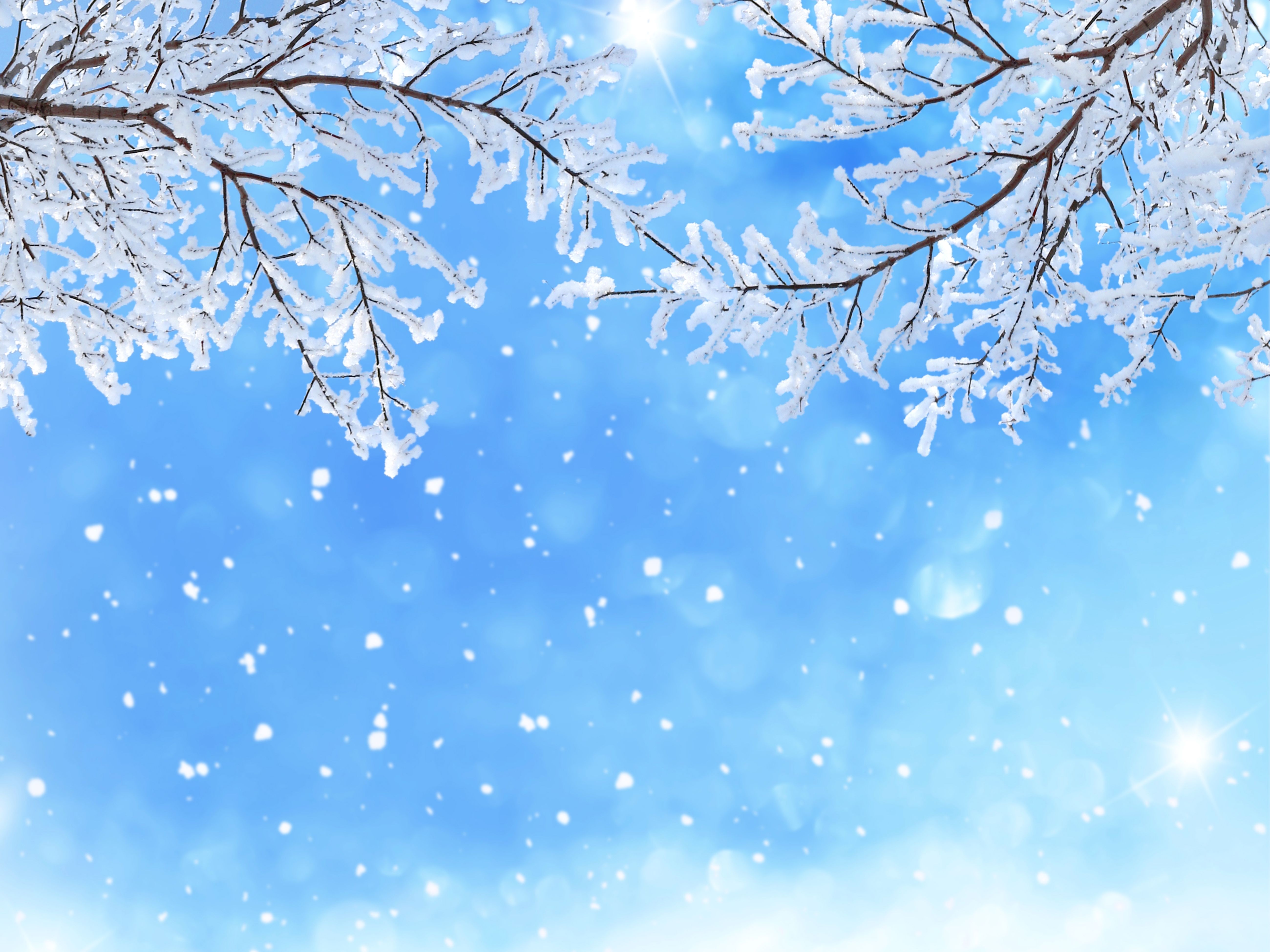 Rami innevati su cielo azzurro, 5200x3900 UHD, PC 4K