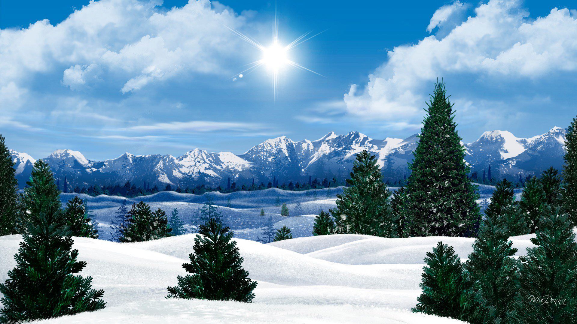Paesaggio innevato con abeti, 1920x1080 1080p, Laptop