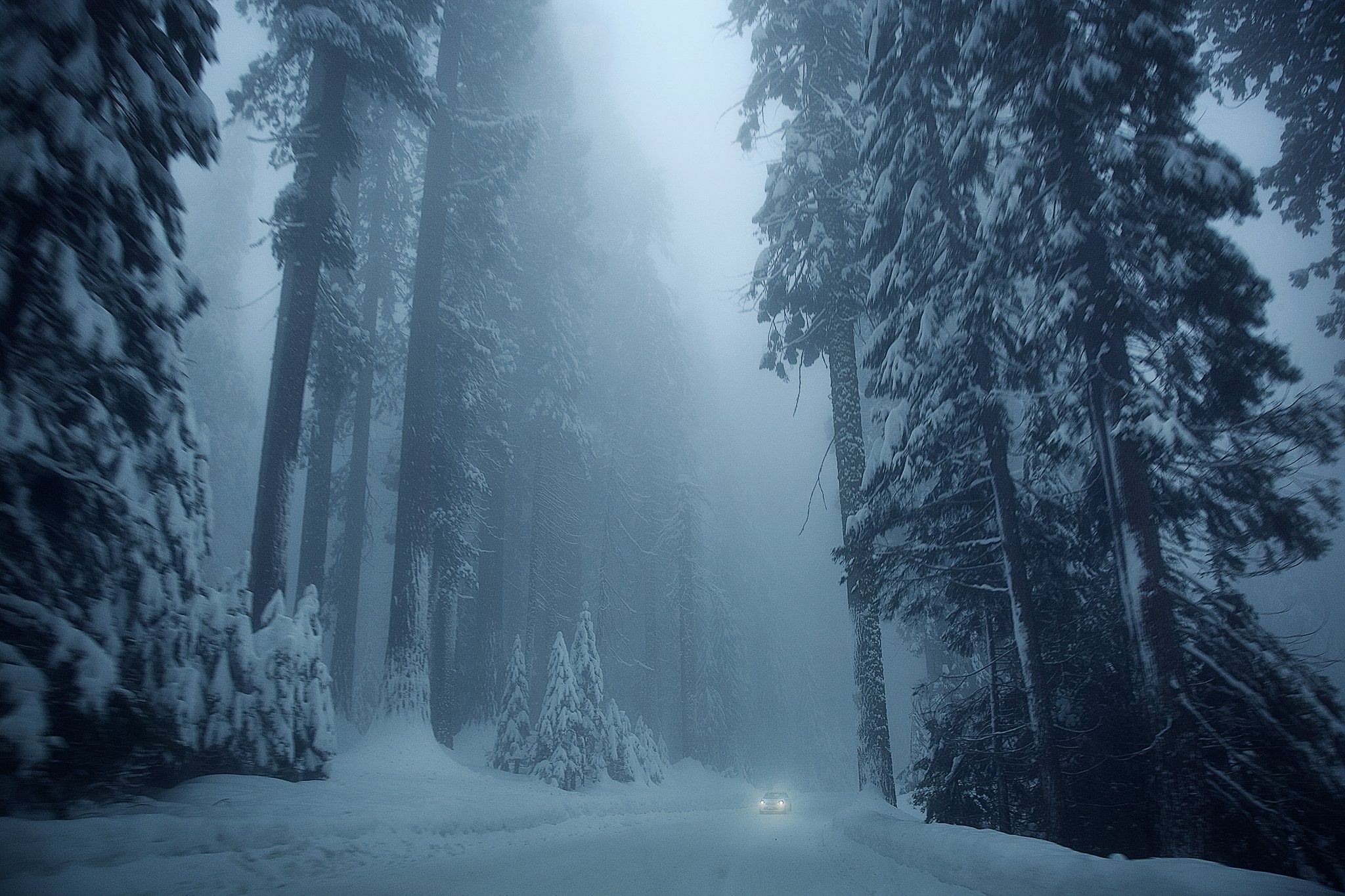 Auto tra foresta innevata, 2048x1365 2K, Desktop