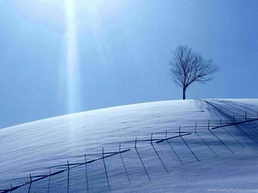 Collina innevata con albero solitario, 1024x768 HD, Desktop