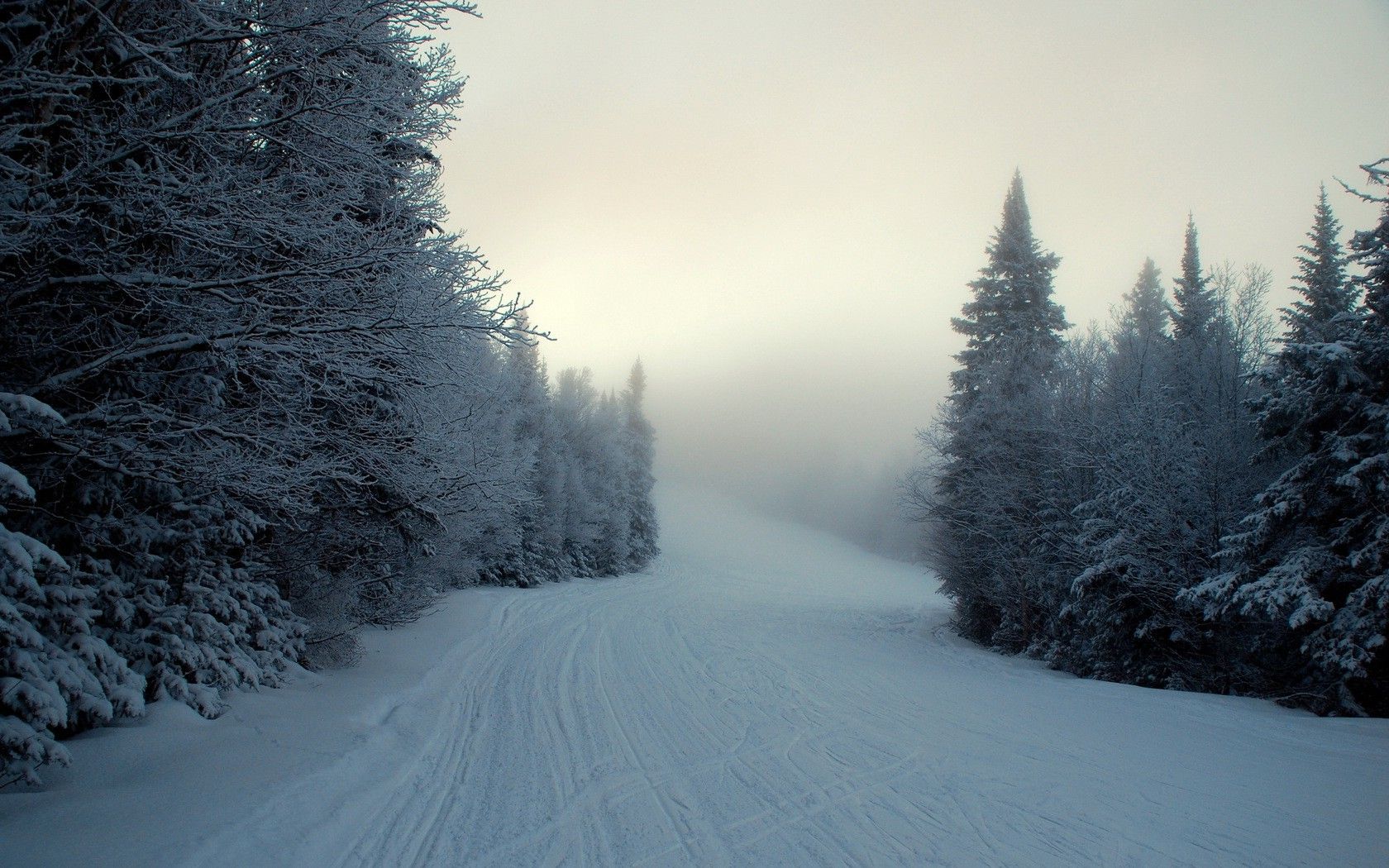 Strada innevata nella foresta, 1680x1050 HD, Desktop