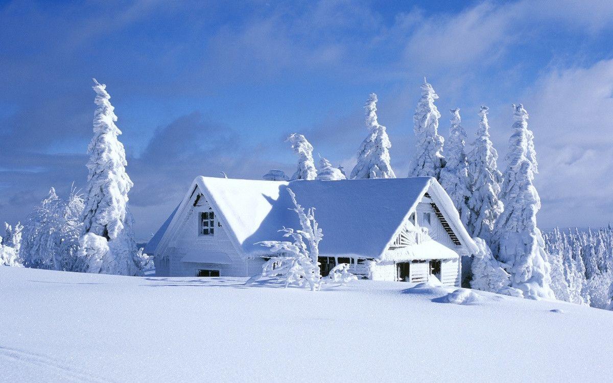 Casa innevata tra abeti, 1200x750 HD, PC
