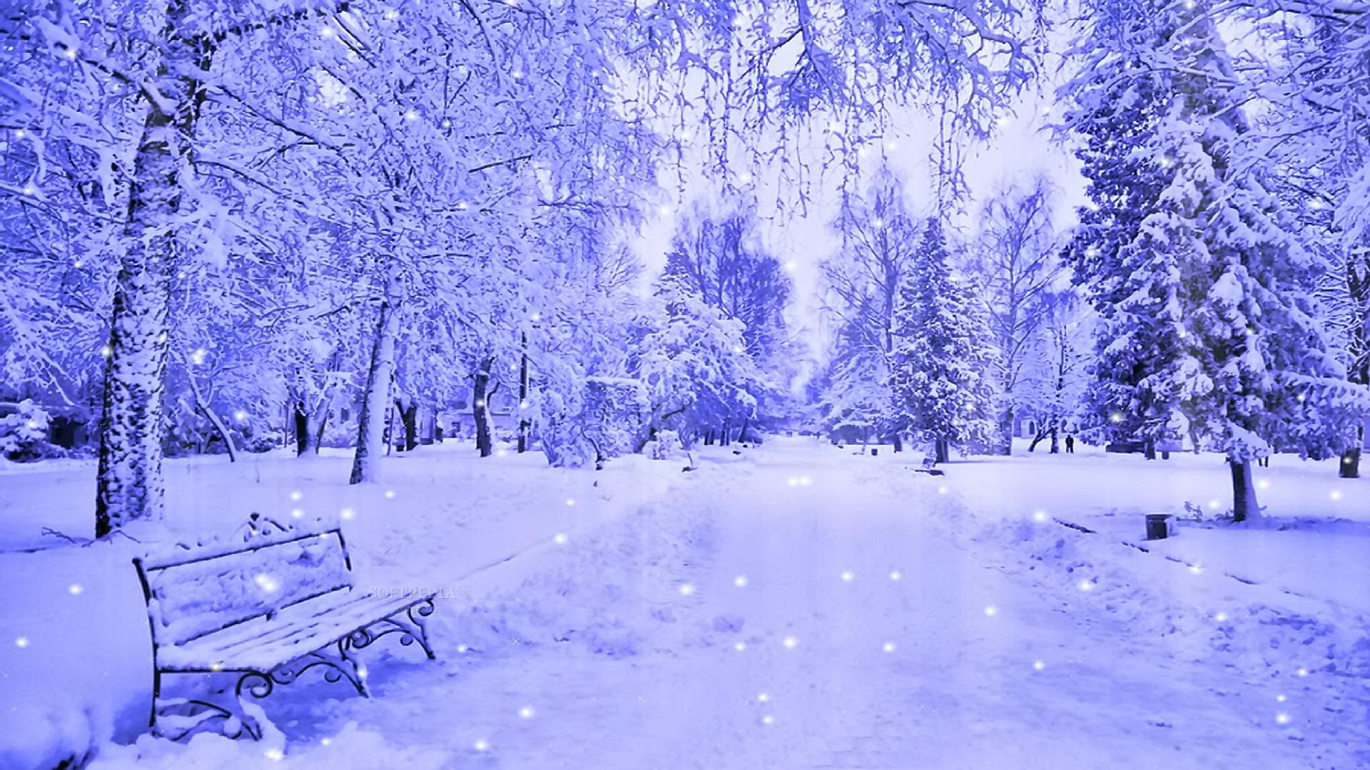 Parco innevato con panchina, 1920x1080 Full HD, Desktop