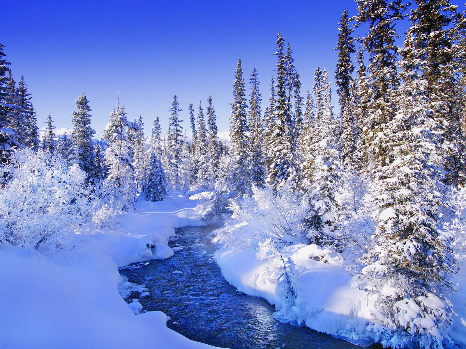 Foresta innevata con ruscello, 1600x1200 HD, Desktop