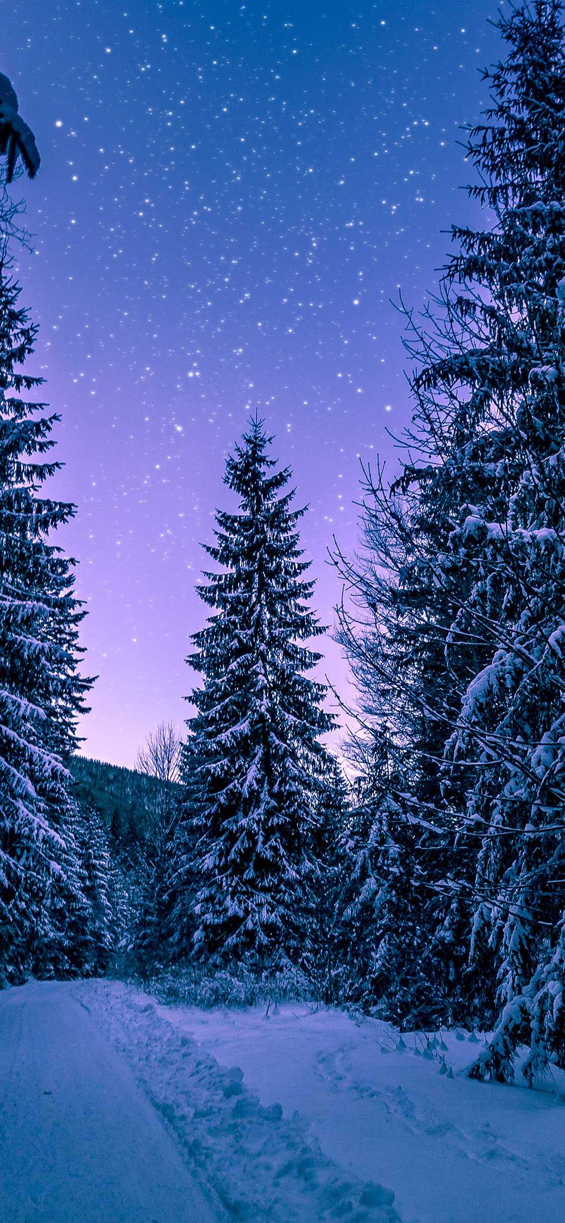 Abeti innevati cielo viola, 1125x2436 Verticale, Telefono
