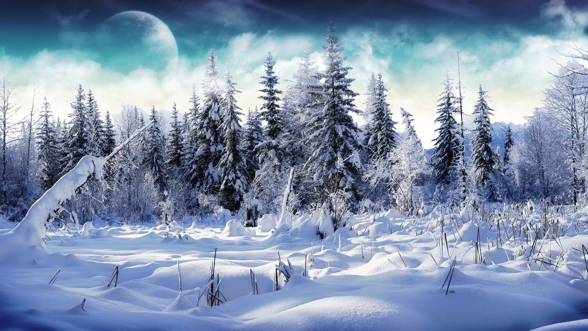 Foresta innevata con luna gigante, 1920x1080 Full HD, PC Desktop