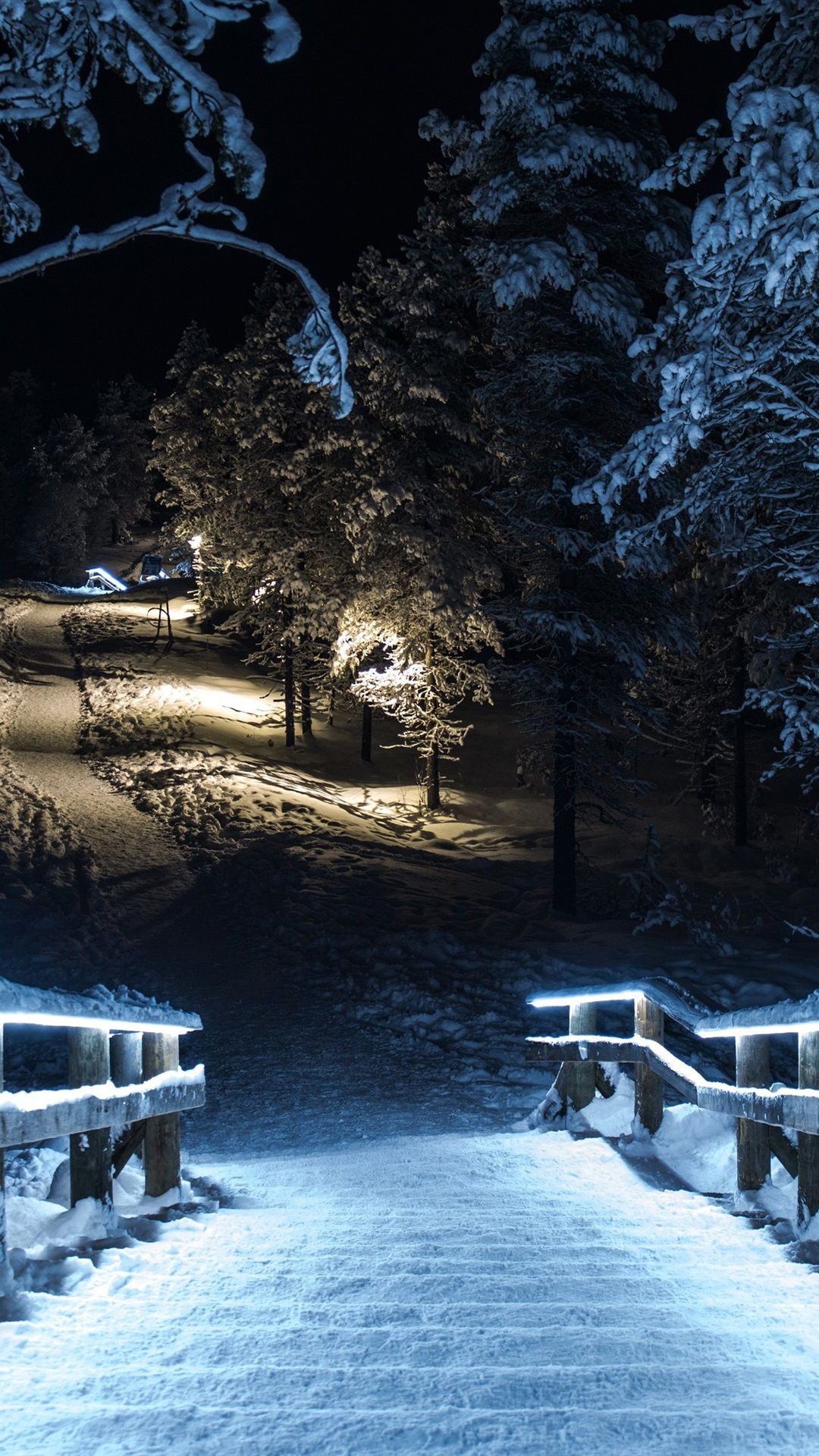 Bosco innevato illuminato di notte, 1080x1920 Verticale, Telefono