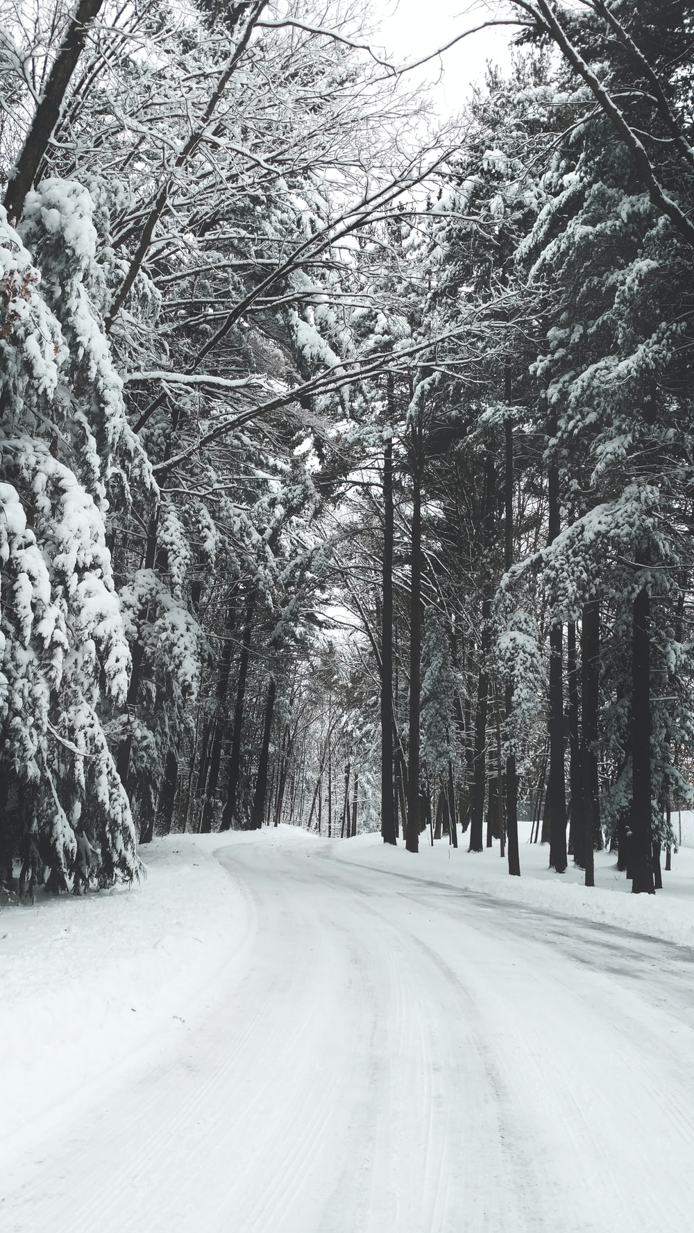 Foresta innevata invernale, 1000x1777 Full HD Verticale, iPhone