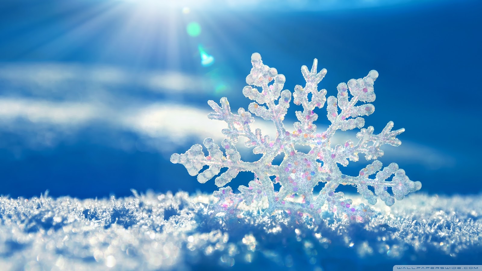 Fiocco di neve su neve, 1600x900 900p, Desktop