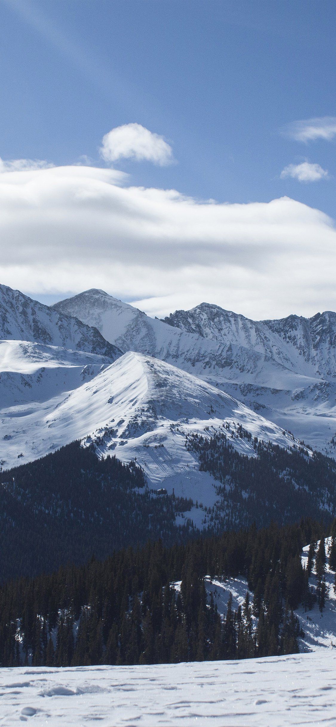 Montagne innevate con foresta, 1125x2436 Verticale, Mobile