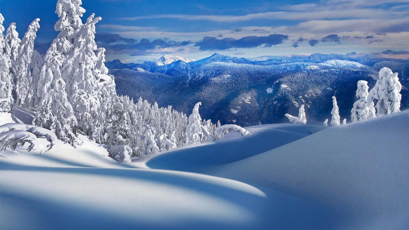 Montagne innevate con abeti, 1366x768 HD, Desktop