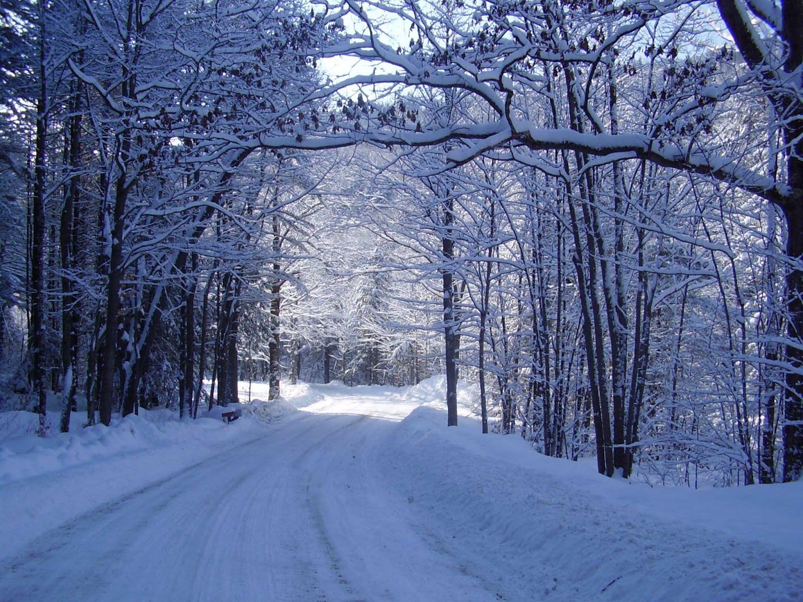 strada innevata tra alberi, 1600x1200 900p, MacBook Air