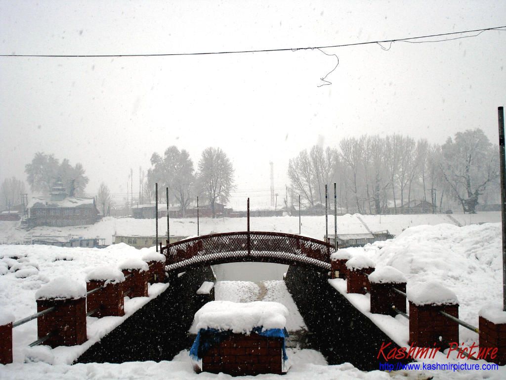 Ponte innevato nella neve, 1024x768 HD, Desktop