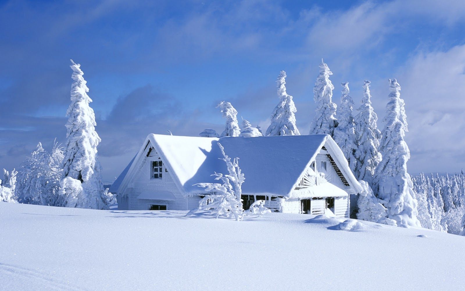 Casa innevata tra abeti, 1600x1000 HD, PC