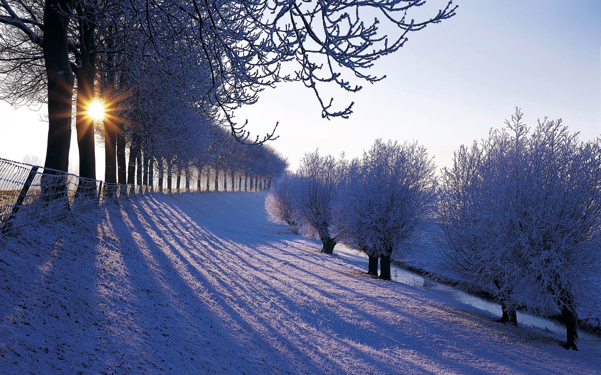 Paesaggio invernale innevato con alberi, 1920x1200 Full HD+ WUXGA, Laptop