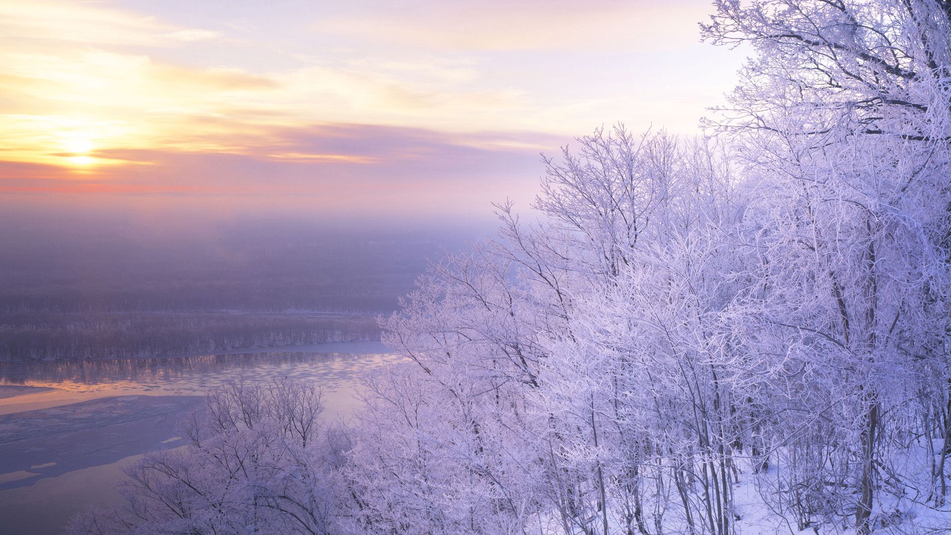 Alberi innevati al tramonto, 1920x1080 Full HD 1080p, Desktop