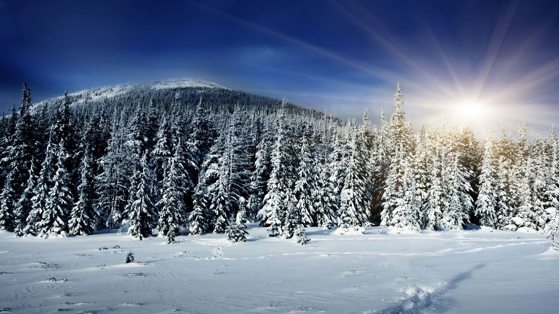 Foresta innevata con montagna, 1920x1080 Full HD, Desktop