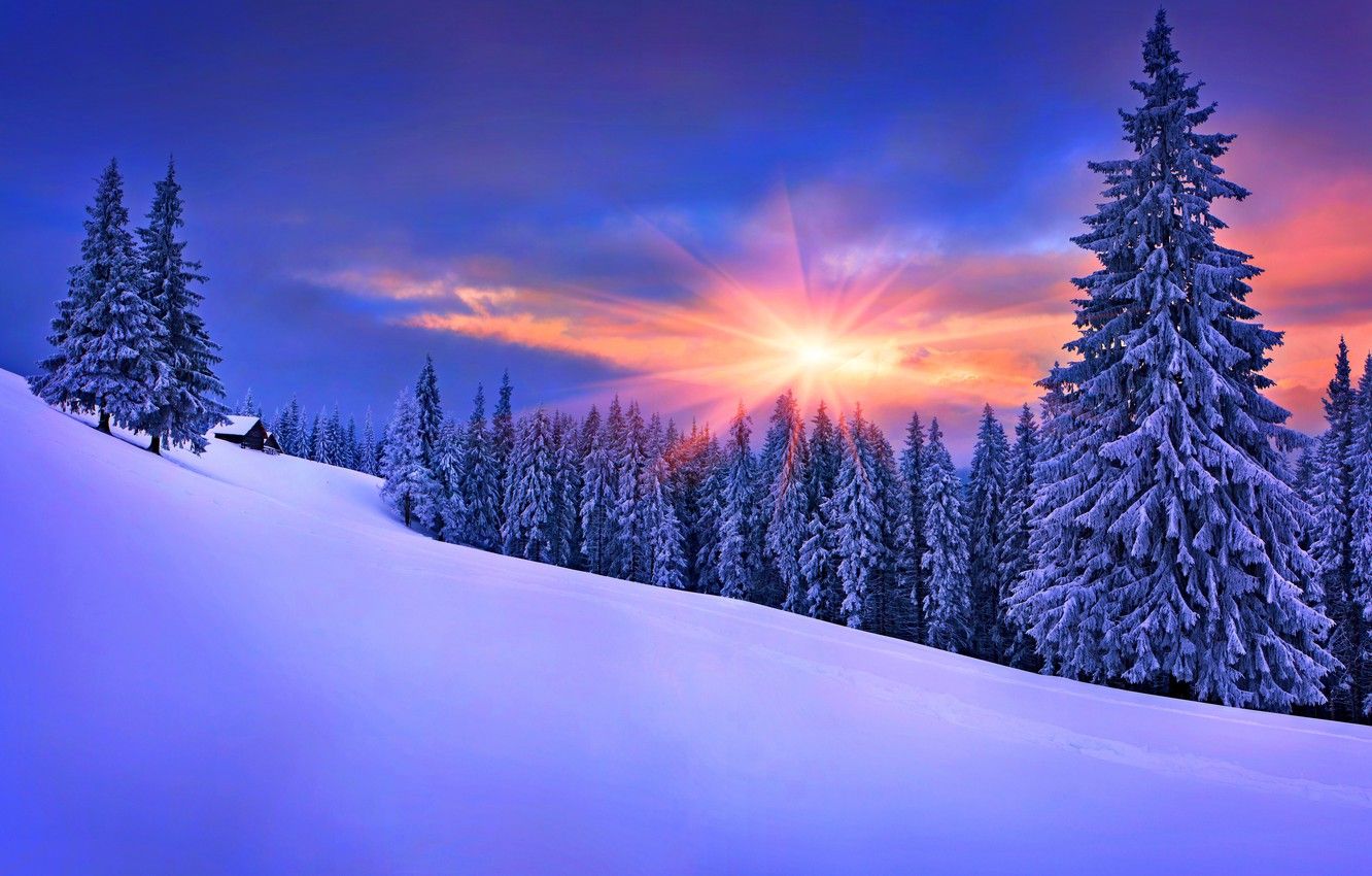 Tramonto invernale con abeti innevati, 1332x850 HD, Desktop