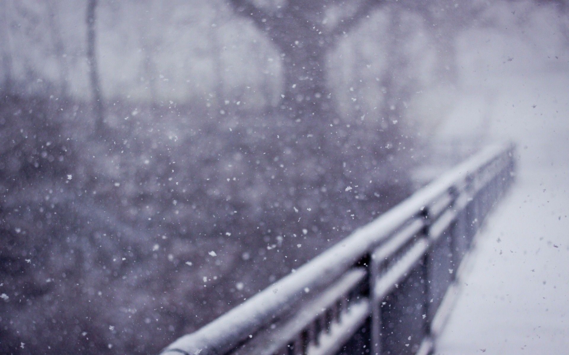 Ponte innevato durante nevicata, 1920x1200 WUXGA, Desktop