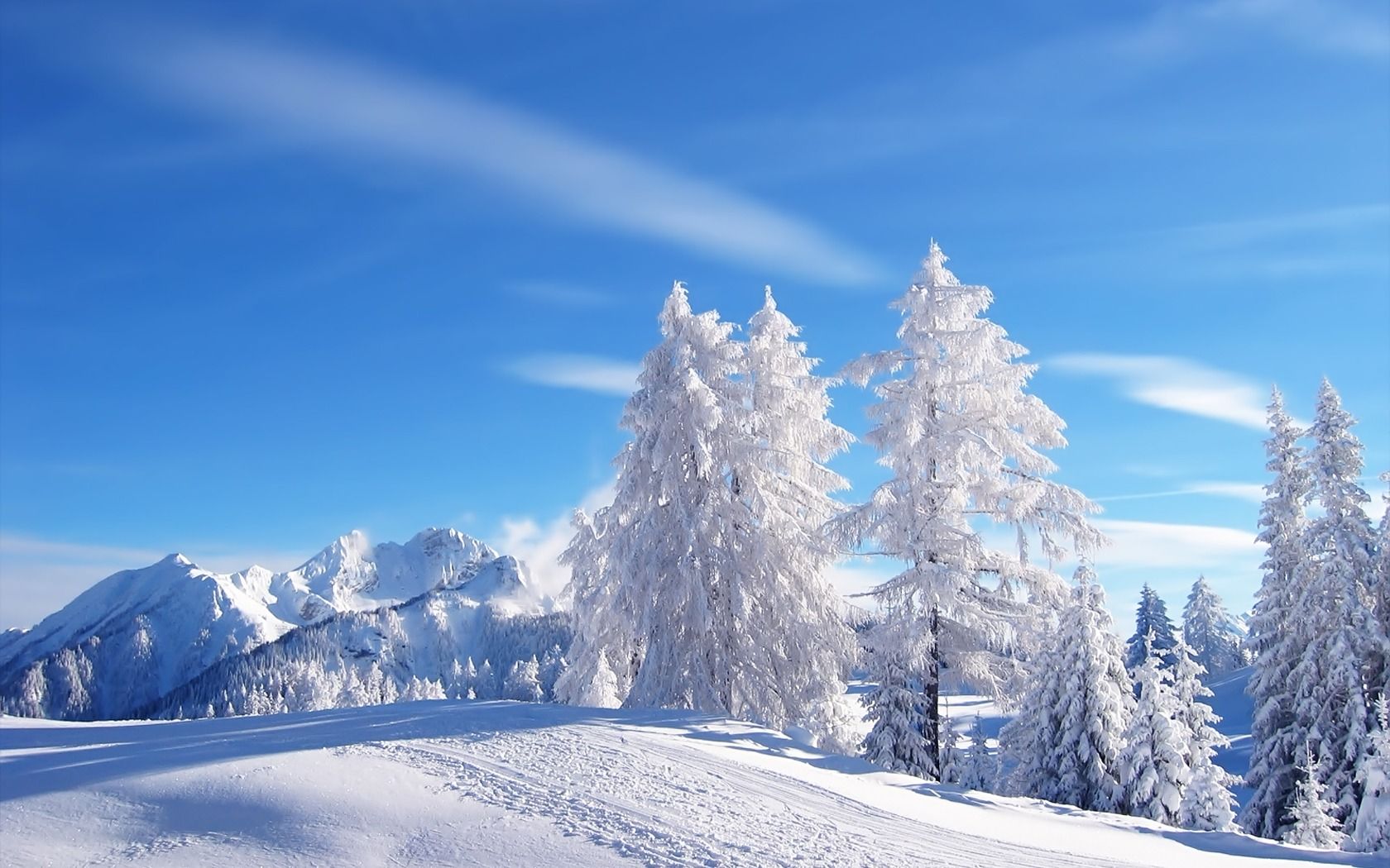 Alberi innevati montagna, 1680x1050 HD Ready, Desktop