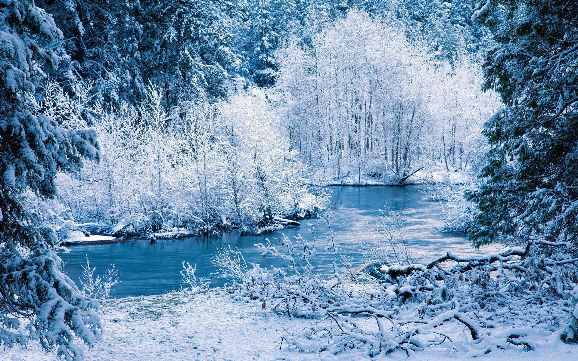 Fiume innevato tra alberi, 1920x1200 Full HD+, PC Desktop