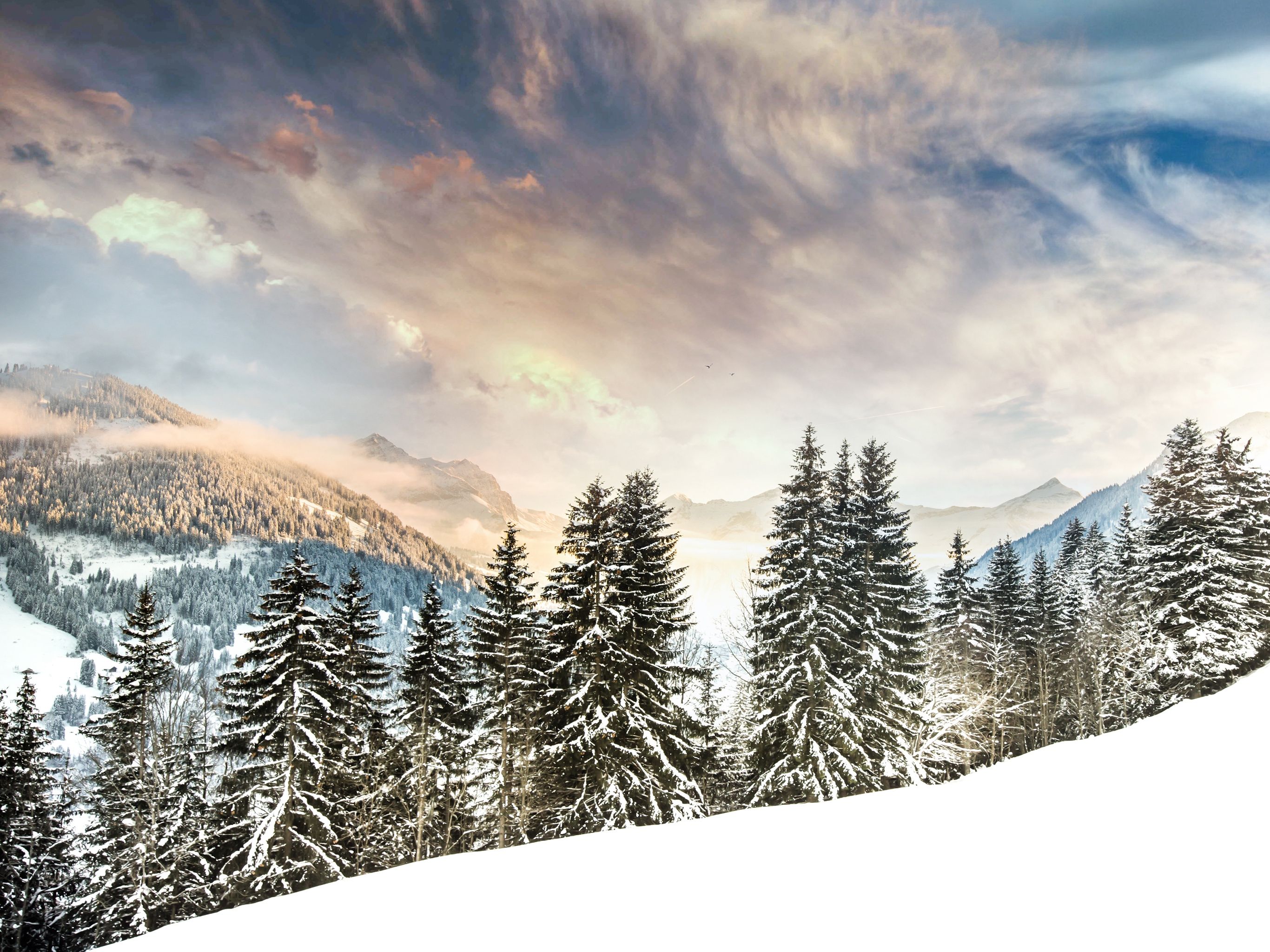 Abeti innevati montagna al tramonto, 2732x2048 2K+, PC