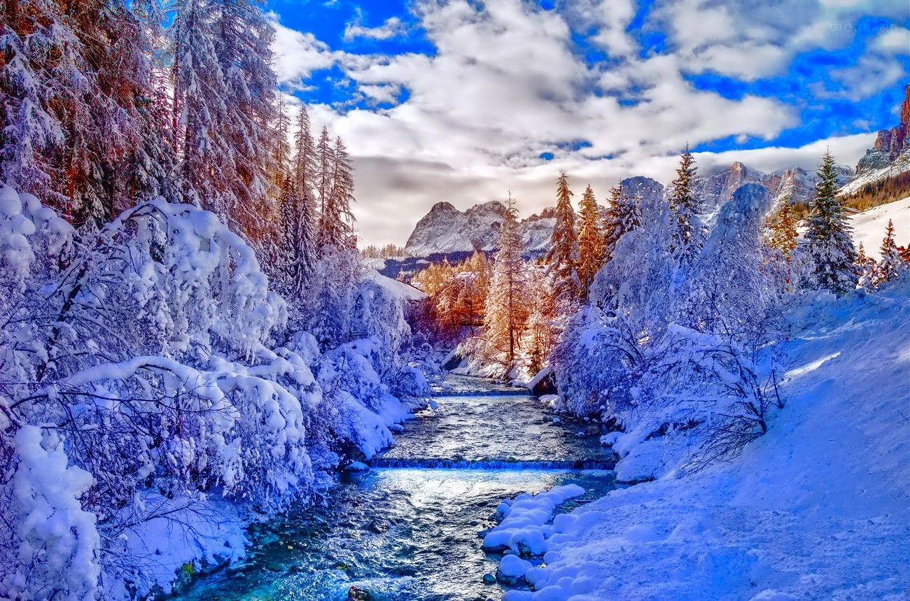 Fiume montano innevato con abeti, 1300x859 HD, Notebook Gaming