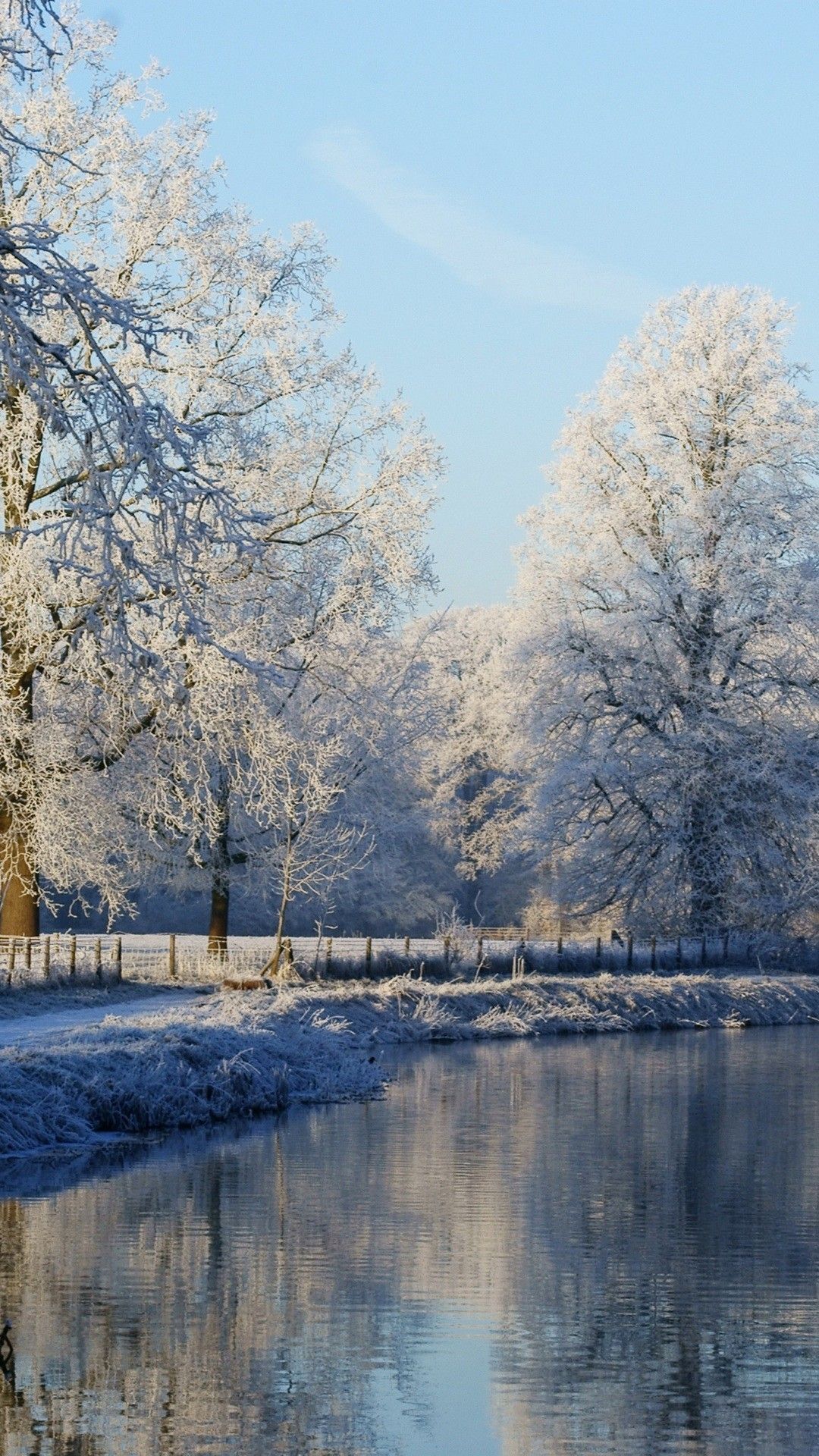 Alberi innevati lungo fiume, 1080x1920 Full HD Verticale, Samsung Galaxy