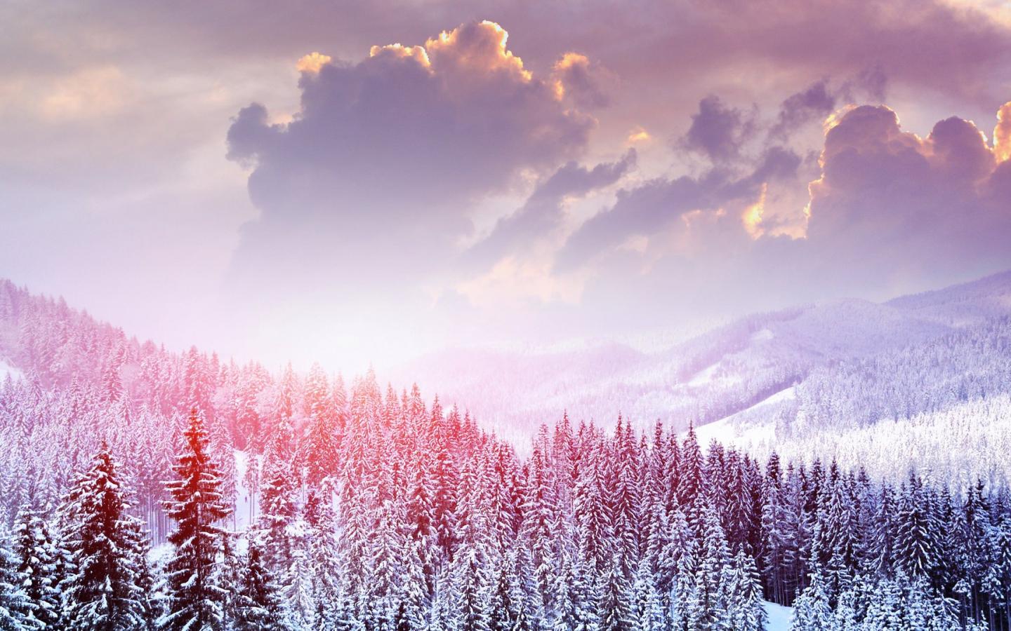 Alberi innevati al tramonto, 1440x900 720p, Laptop