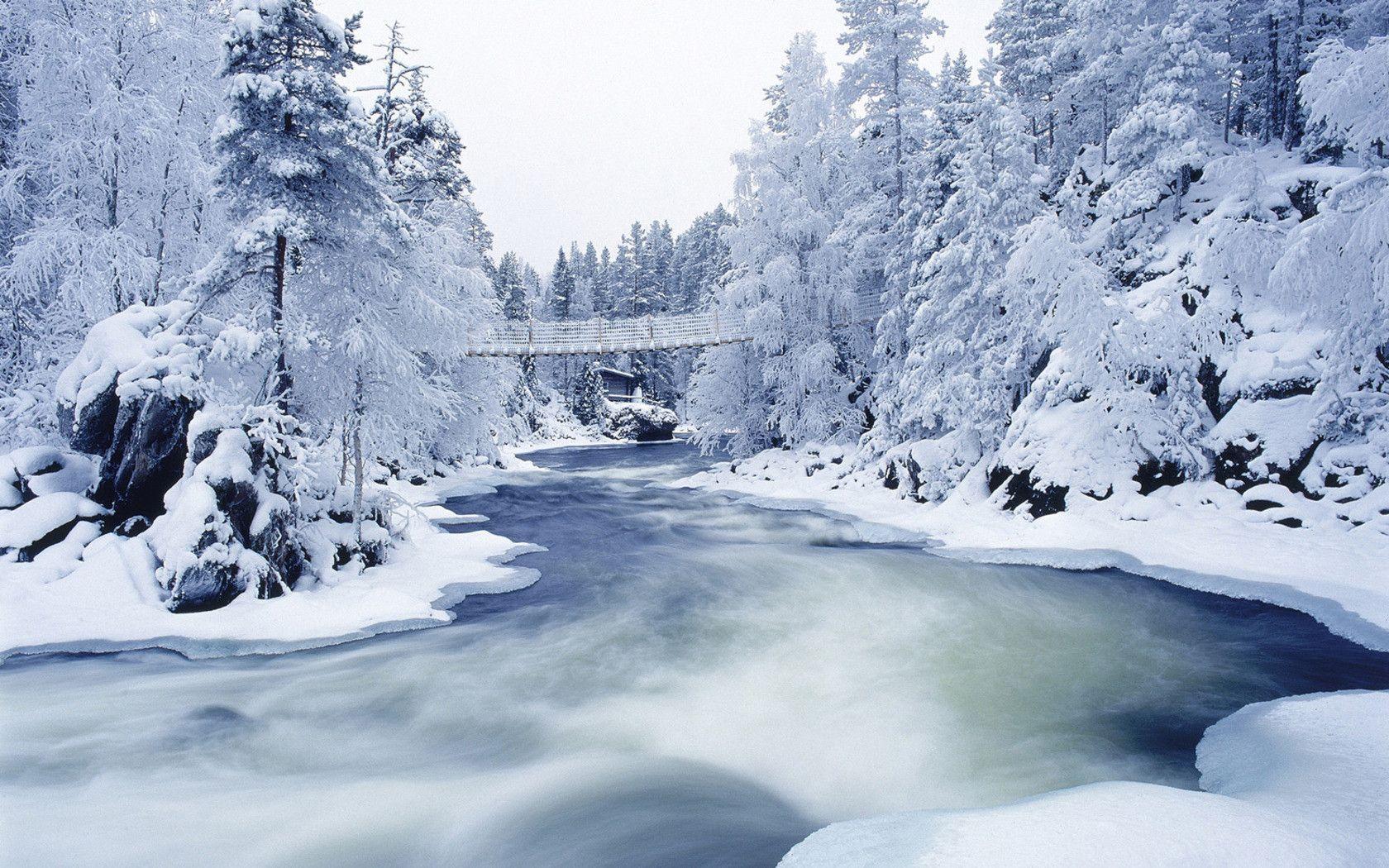 Fiume ghiacciato tra alberi innevati, 1680x1050 HD, Laptop