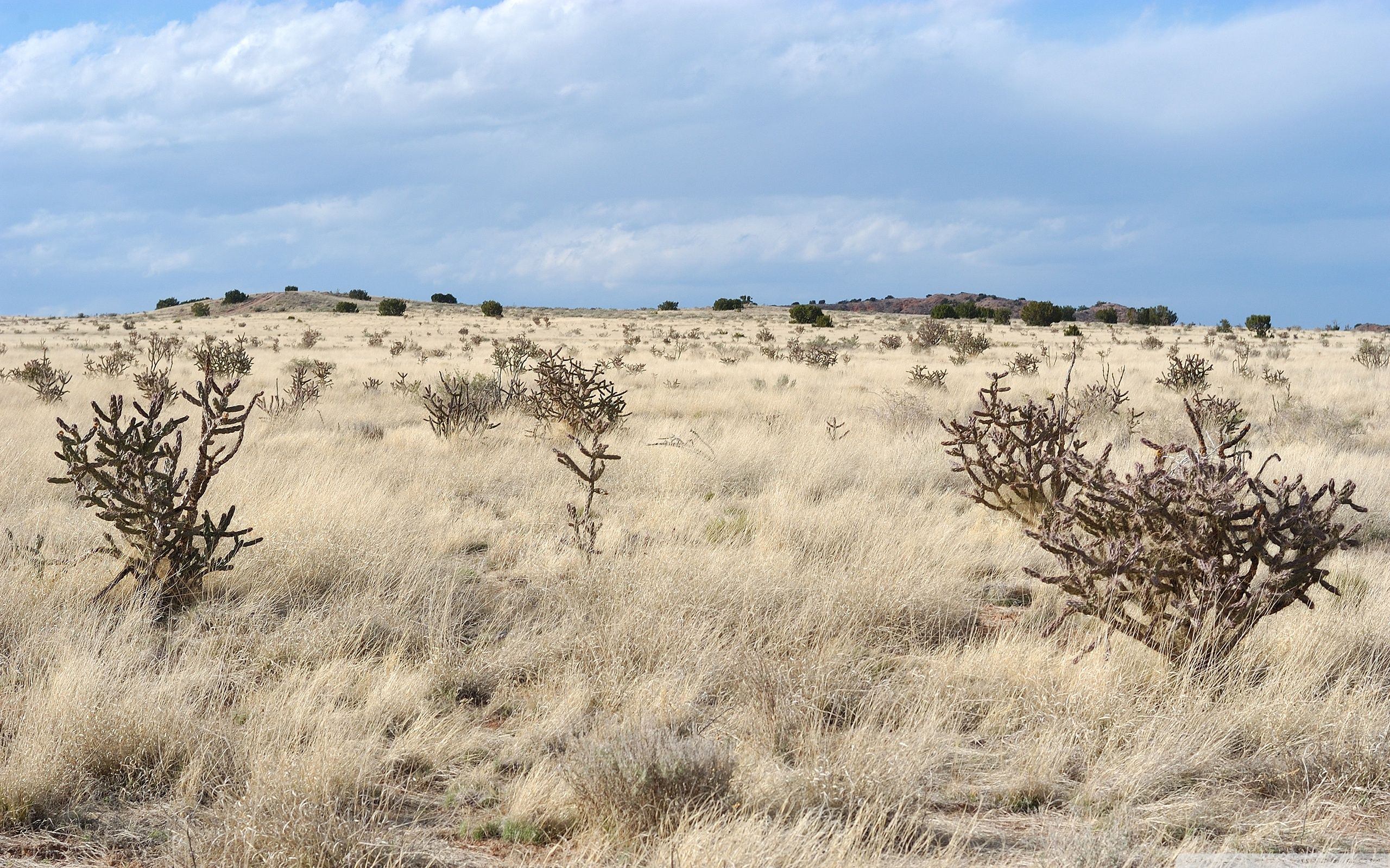 Paesaggio desertico New Mexico, 2592x1728 2K+, PC