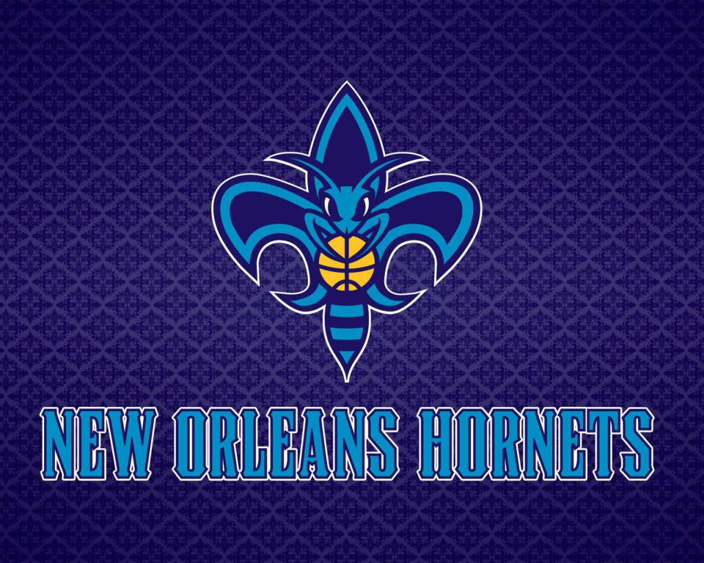 Logo New Orleans Hornets NBA, basket americano, 1024x819 HD, PC