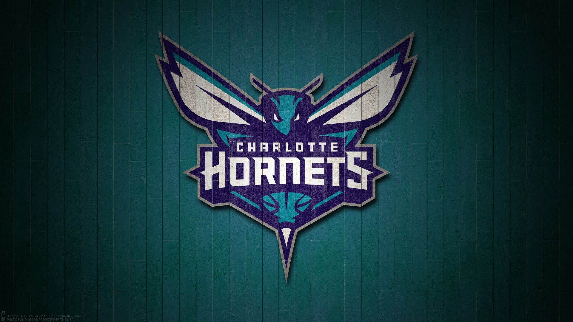 Logo Charlotte Hornets NBA, 1920x1080 Full HD, Desktop