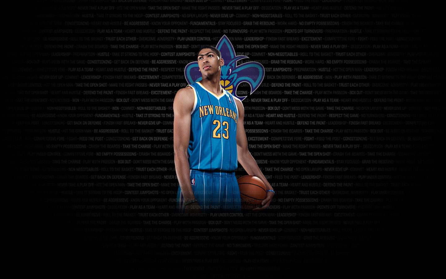 Anthony Davis Hornets basket, 1440x900 720p, Laptop