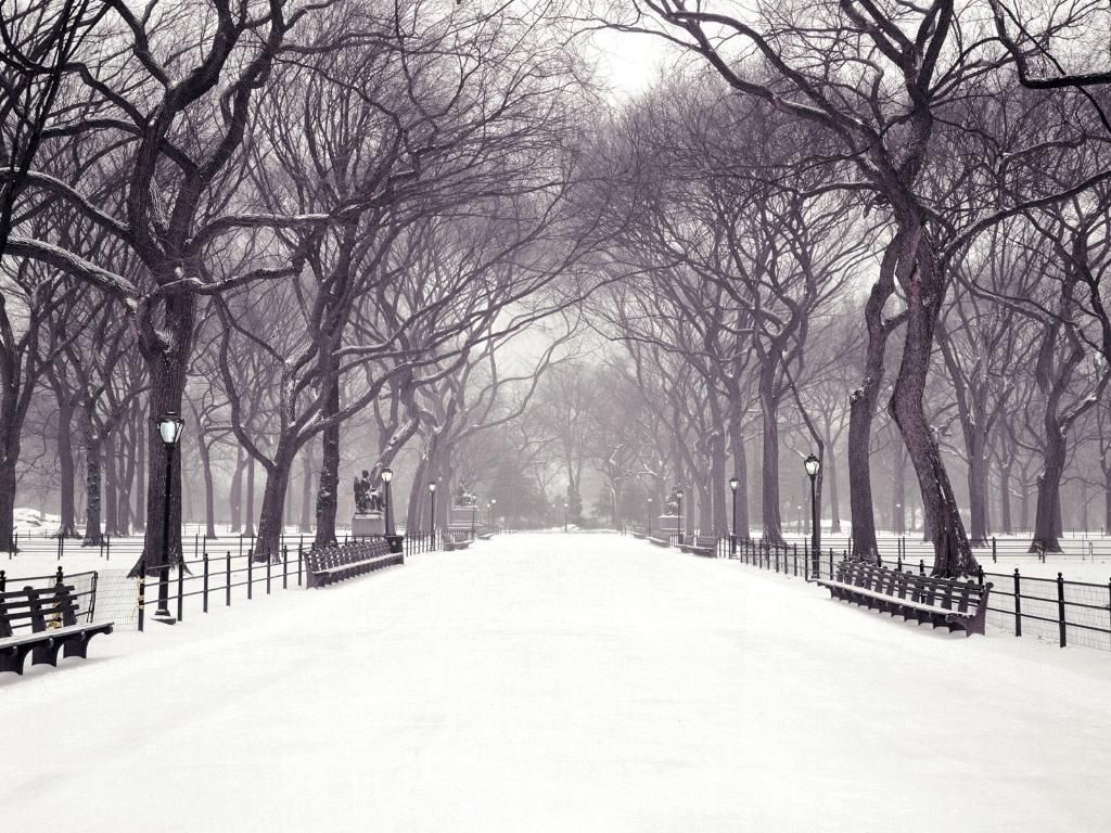 Central Park innevato, New York, 1024x768 HD, PC Desktop