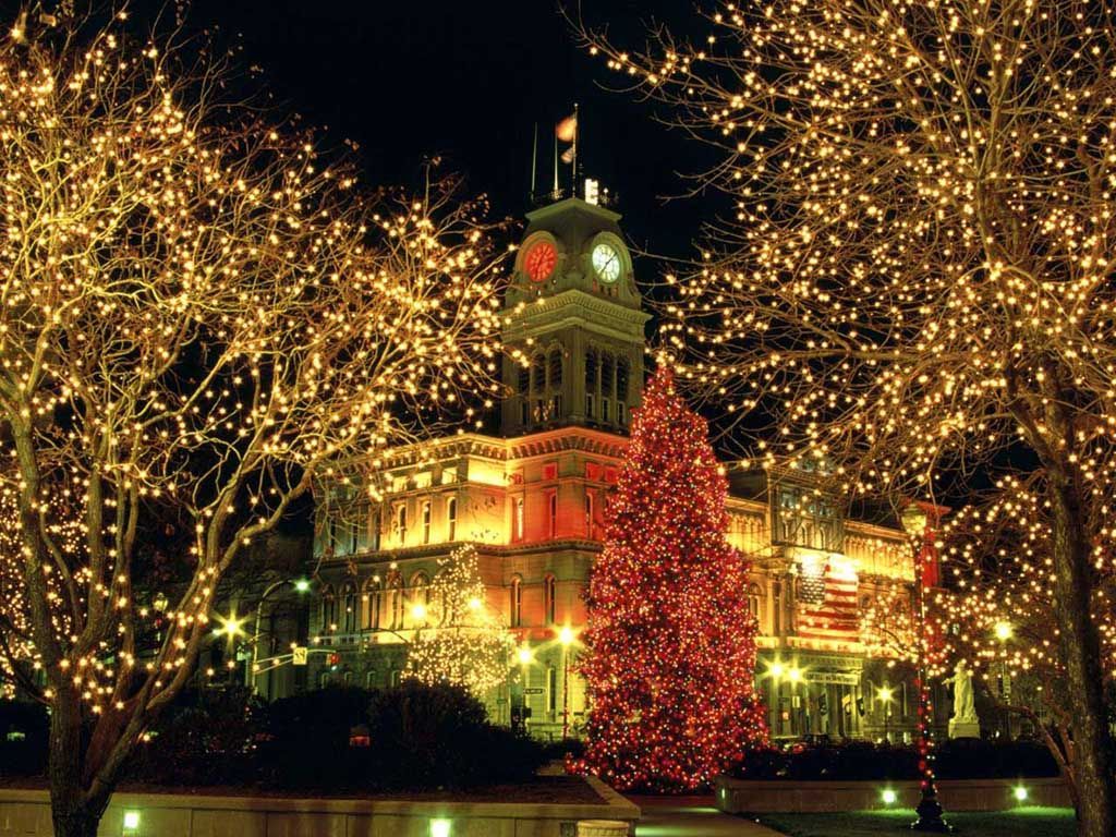 Municipio natalizio con luci e albero, 1024x768 HD, PC